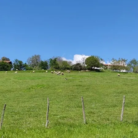 Apartment Intxaurti Etxea *