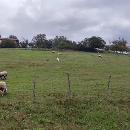 Intxaurti Etxea * Mallavia